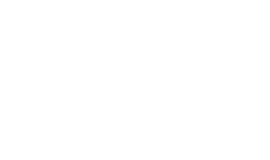 VitaeLab_logo_white_small_png.png